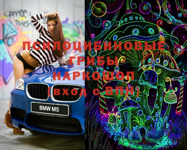 ешки Няндома