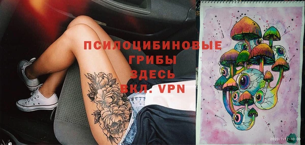 ешки Няндома