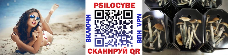 blacksprut вход  Иноземцево  Галлюциногенные грибы мухоморы 